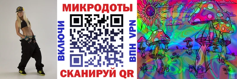 Галлюциногенные грибы мухоморы  купить наркотик  Иваново 