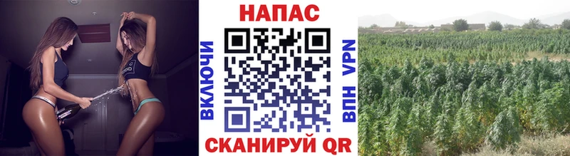 Марихуана индика Иваново